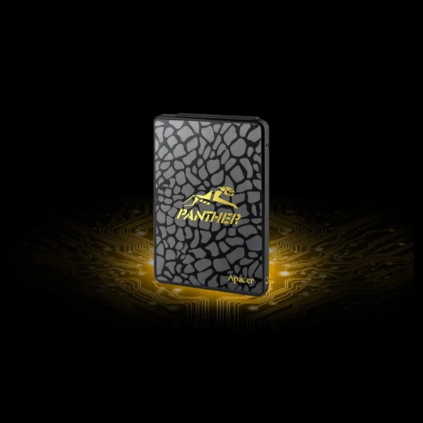 حافظه اس اس دی اینترنال اپیسر مدل AS340 Panther ظرفیت 120 گیگابایت
